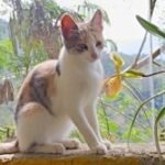 Foto del perfil de Tina